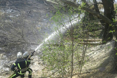 Правила пожежної безпеки поблизу лісових масивів, на відкритих територіях